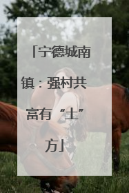 宁德城南镇：强村共富有“土”方