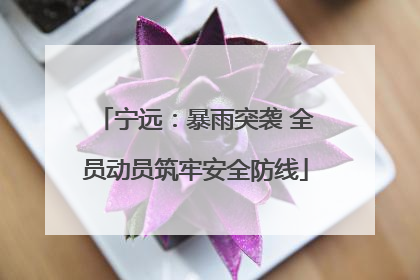 宁远：暴雨突袭 全员动员筑牢安全防线