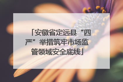 安徽省定远县“四严”举措筑牢市场监管领域安全底线