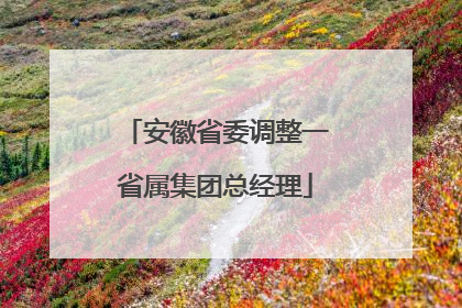 安徽省委调整一省属集团总经理