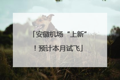 安徽机场“上新”！预计本月试飞