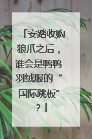 安踏收购狼爪之后，谁会是鸭鸭羽绒服的“国际跳板”？
