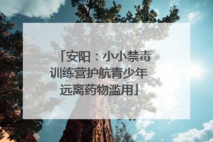 安阳：小小禁毒训练营护航青少年远离药物滥用