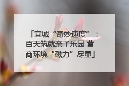 宜城“奇妙速度”：百天筑就亲子乐园 营商环境“磁力”尽显