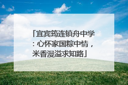 宜宾筠连镇舟中学：心怀家国粽中情，米香漫溢求知路