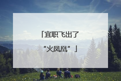 宜职飞出了“火凤凰”