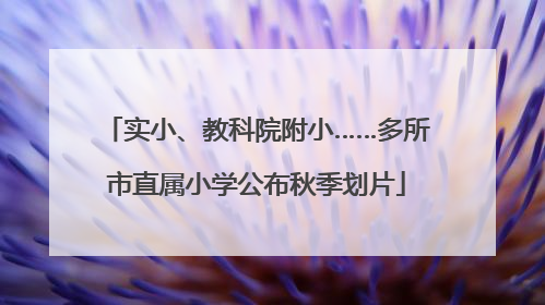 实小、教科院附小……多所市直属小学公布秋季划片