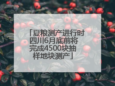 夏粮测产进行时 四川6月底前将完成4500块抽样地块测产