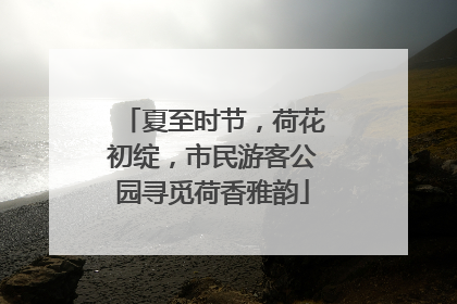 夏至时节，荷花初绽，市民游客公园寻觅荷香雅韵