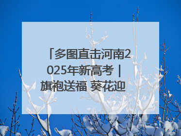 多图直击河南2025年新高考｜旗袍送福 葵花迎胜——许昌高考首日拉开帷幕
