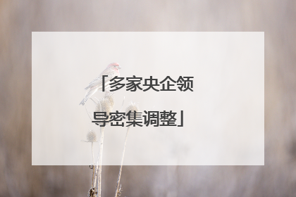 多家央企领导密集调整