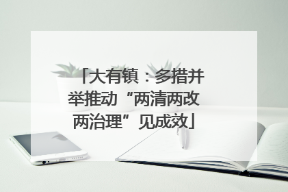 大有镇：多措并举推动“两清两改两治理”见成效