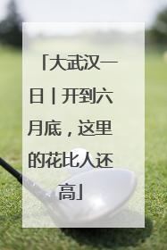 大武汉一日︱开到六月底，这里的花比人还高