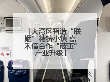 大湾区智造“联姻”精铸小镇 嘉禾借合作“破茧”产业升级