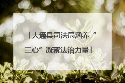 大通县司法局涵养“三心”凝聚法治力量