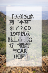 天价抗癌药“平替”来了？CD19单抗获批上市，治疗“靶点”与CAR-T相同