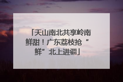 天山南北共享岭南鲜甜！广东荔枝抢“鲜”北上进疆
