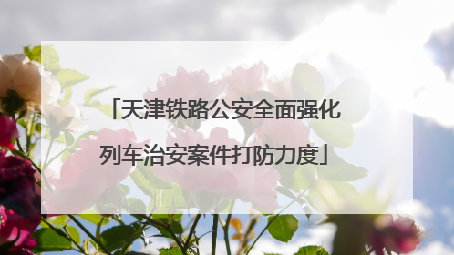 天津铁路公安全面强化列车治安案件打防力度