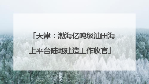 天津：渤海亿吨级油田海上平台陆地建造工作收官