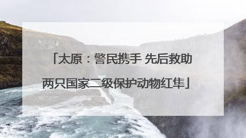 太原：警民携手 先后救助两只国家二级保护动物红隼