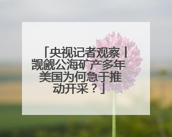 央视记者观察丨觊觎公海矿产多年 美国为何急于推动开采？