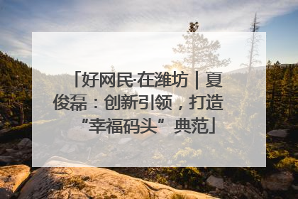 好网民·在潍坊｜夏俊磊：创新引领，打造“幸福码头”典范