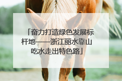 奋力打造绿色发展标杆地——浙江丽水靠山吃水走出特色路