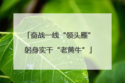 奋战一线“领头雁” 躬身实干“老黄牛”