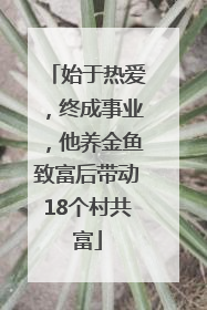 始于热爱，终成事业，他养金鱼致富后带动18个村共富