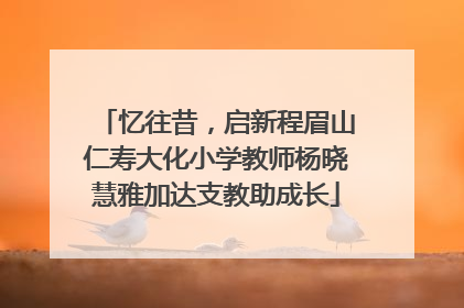 忆往昔，启新程眉山仁寿大化小学教师杨晓慧雅加达支教助成长
