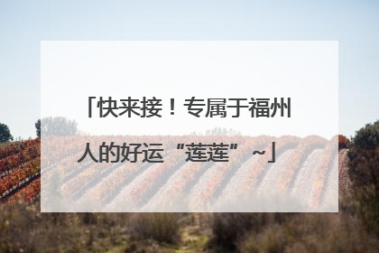 快来接！专属于福州人的好运“莲莲”~