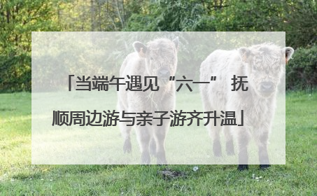 当端午遇见“六一” 抚顺周边游与亲子游齐升温