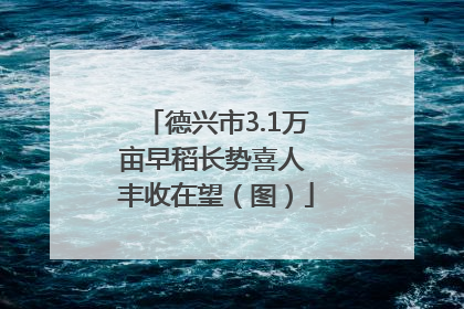 德兴市3.1万亩早稻长势喜人 丰收在望（图）