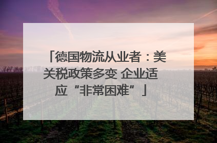 德国物流从业者：美关税政策多变 企业适应“非常困难”