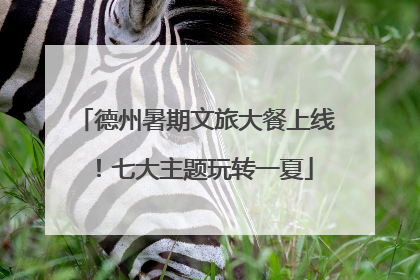 德州暑期文旅大餐上线！七大主题玩转一夏