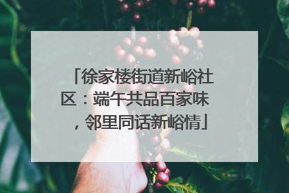 徐家楼街道新峪社区：端午共品百家味，邻里同话新峪情