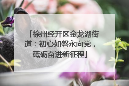 徐州经开区金龙湖街道：初心如磐永向党，砥砺奋进新征程