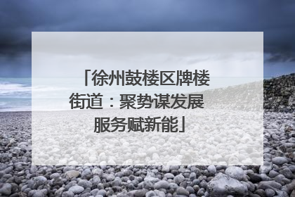 徐州鼓楼区牌楼街道：聚势谋发展 服务赋新能