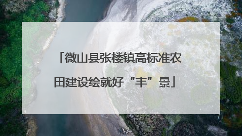 微山县张楼镇高标准农田建设绘就好“丰”景