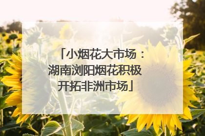 小烟花大市场：湖南浏阳烟花积极开拓非洲市场