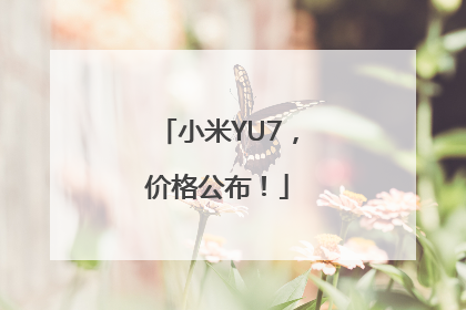 小米YU7，价格公布！
