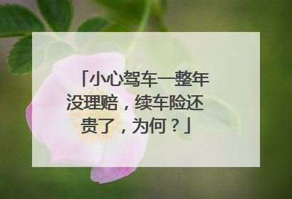 小心驾车一整年没理赔，续车险还贵了，为何？