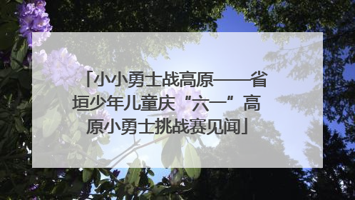 小小勇士战高原——省垣少年儿童庆“六一”高原小勇士挑战赛见闻