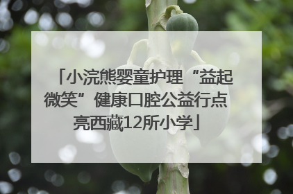 小浣熊婴童护理“益起微笑”健康口腔公益行点亮西藏12所小学