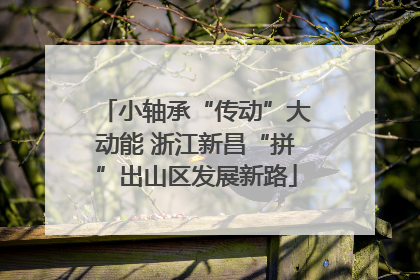 小轴承“传动”大动能 浙江新昌“拼”出山区发展新路