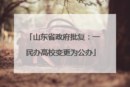 山东省政府批复：一民办高校变更为公办