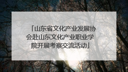山东省文化产业发展协会赴山东文化产业职业学院开展考察交流活动
