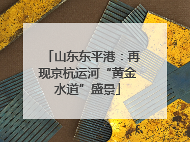 山东东平港：再现京杭运河“黄金水道”盛景
