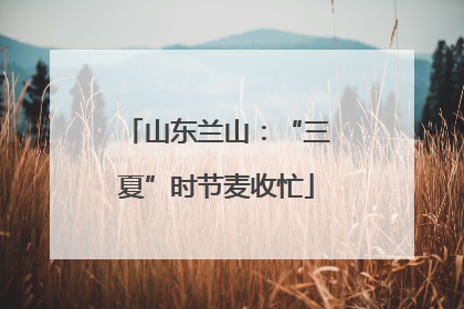 山东兰山：“三夏”时节麦收忙