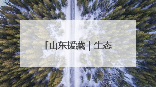山东援藏｜生态援藏，戈壁滩上的“潍坊魔法”